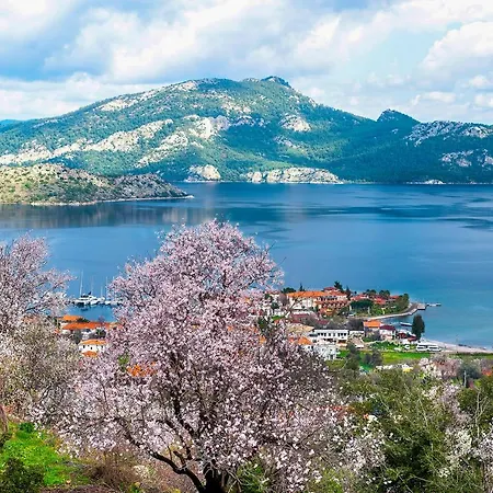 Swan - Adult Only Hotel 2*