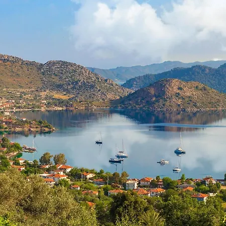 Swan - Adult Only 2*